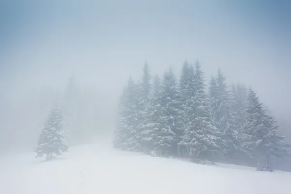 Vackert vinterlandskap — Stockfoto