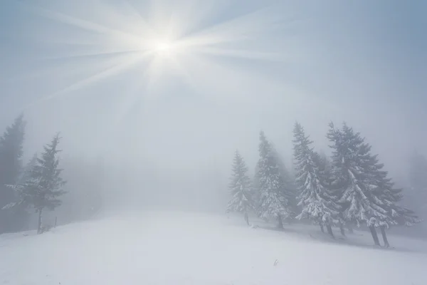 Bellissimo paesaggio invernale — Foto Stock