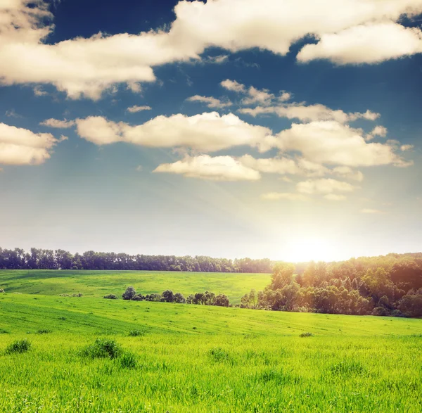 Majestueuze landschap in het veld — Stockfoto