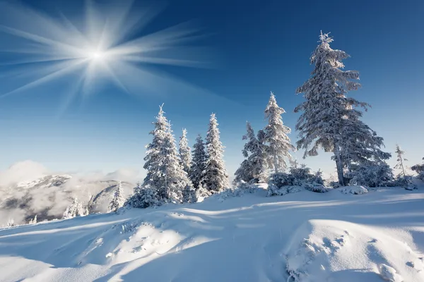 Frosty and sunny day is in mountains — стоковое фото