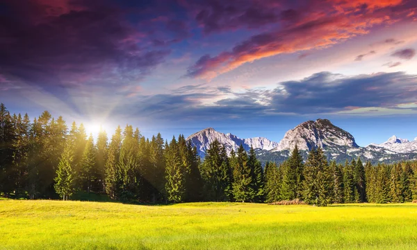 Montañas en el Parque Nacional durmitor — Foto de Stock