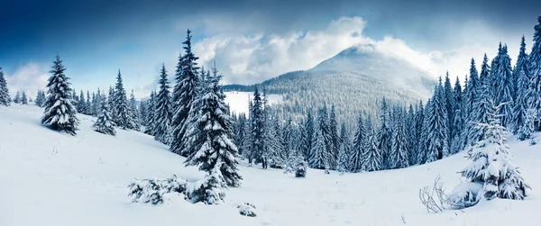 Schöne Winterlandschaft — Stockfoto