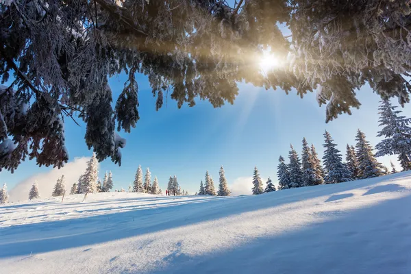 Gelida e soleggiata giornata è in montagna — Foto Stock