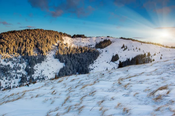 Frosty and sunny day is in mountains — Stock Photo, Image