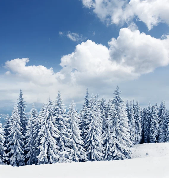 Bellissimo paesaggio invernale — Foto Stock