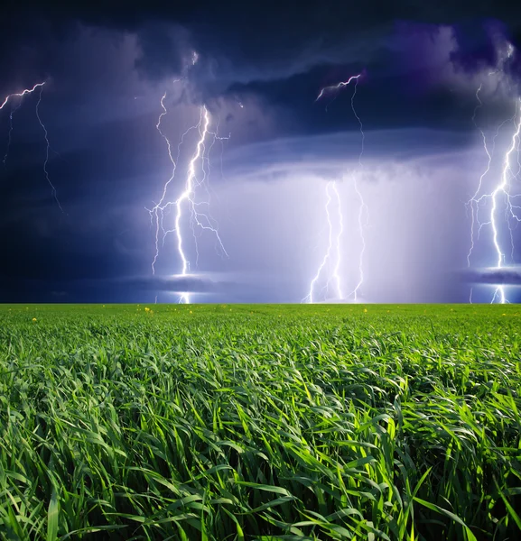 Tormenta con relámpagos en pradera verde . — Foto de Stock