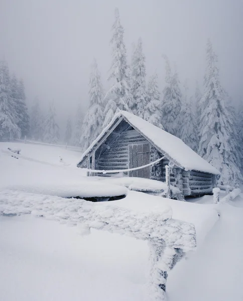 Bellissimo paesaggio invernale — Foto Stock