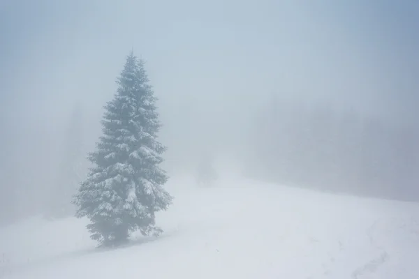 Schöne Winterlandschaft — Stockfoto