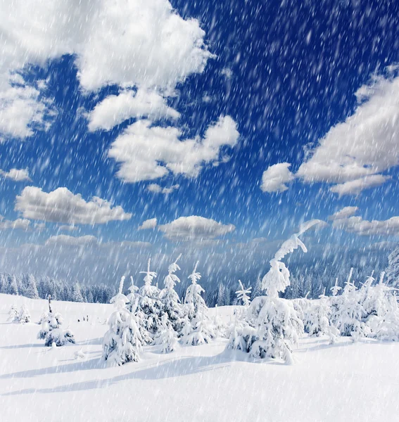 Bellissimo paesaggio invernale — Foto Stock