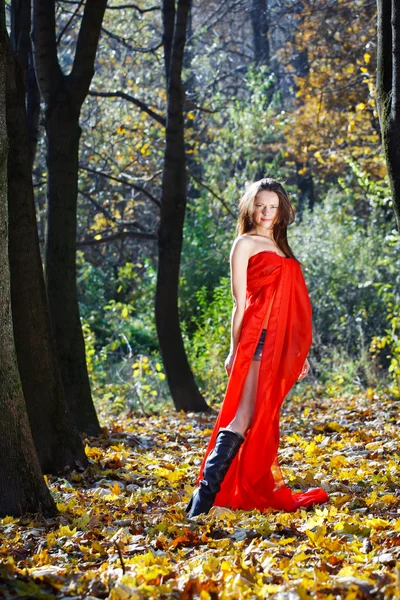 Woman in the autumn park — Stock Photo, Image