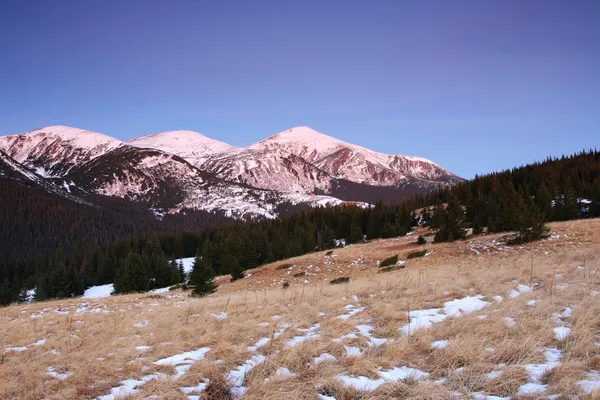 Sunny day is in mountains — Stock Photo, Image