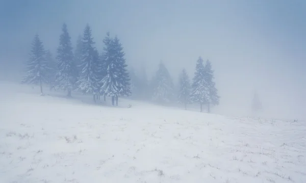 Krásná zimní krajina — Stock fotografie