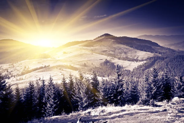 Berglandschap — Stockfoto