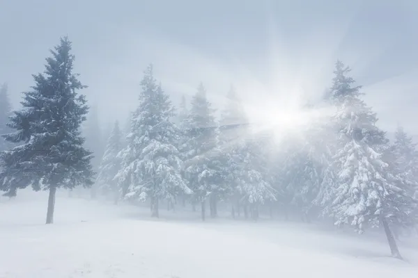 Schöne Winterlandschaft — Stockfoto