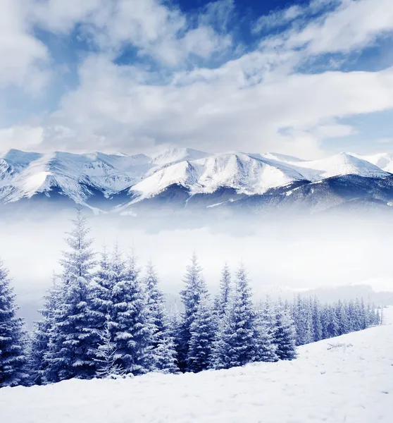 Schöne Winterlandschaft — Stockfoto