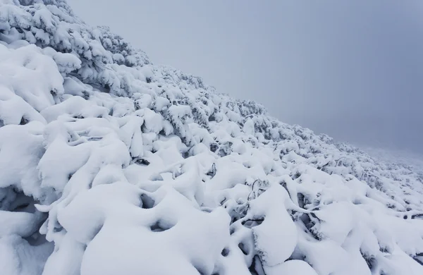 아름다운 겨울 풍경 — 스톡 사진