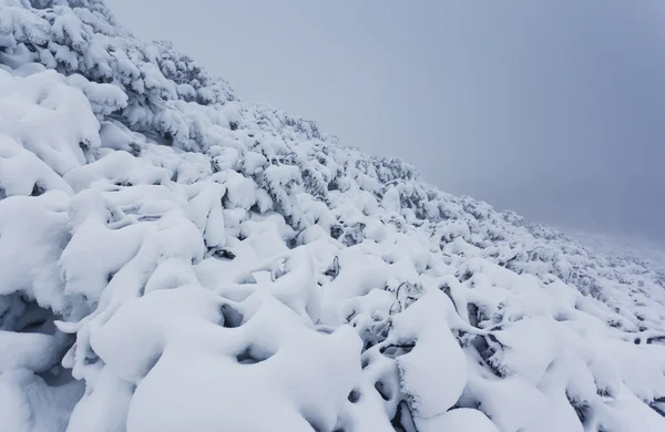 Hermoso paisaje de invierno —  Fotos de Stock