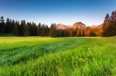 Dağları Milli Parkı içinde