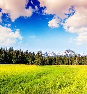 Dağları Milli Parkı durmitor
