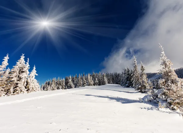 Linda paisagem de inverno — Fotografia de Stock