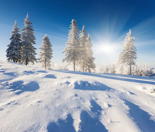 Vackert vinterlandskap — Stockfoto