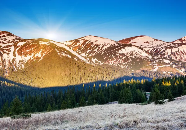 Solig dag är i berglandskap — Stockfoto