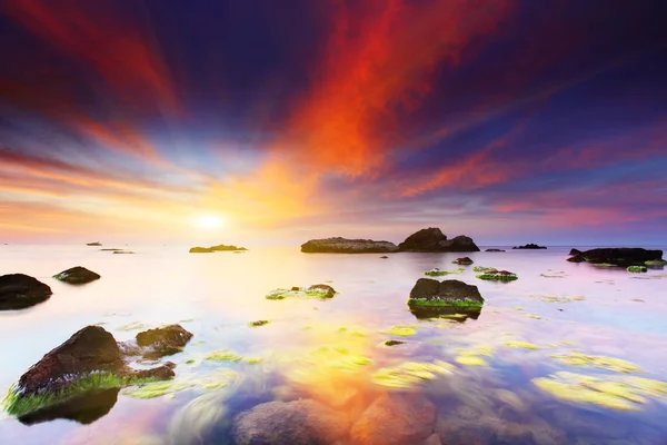Denizin üzerinde yaz gün batımı — Stok fotoğraf