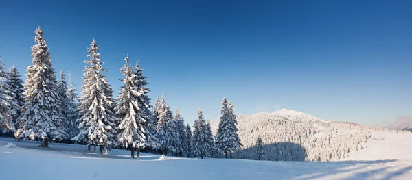 Journée glaciale et ensoleillée dans les montagnes — Photo