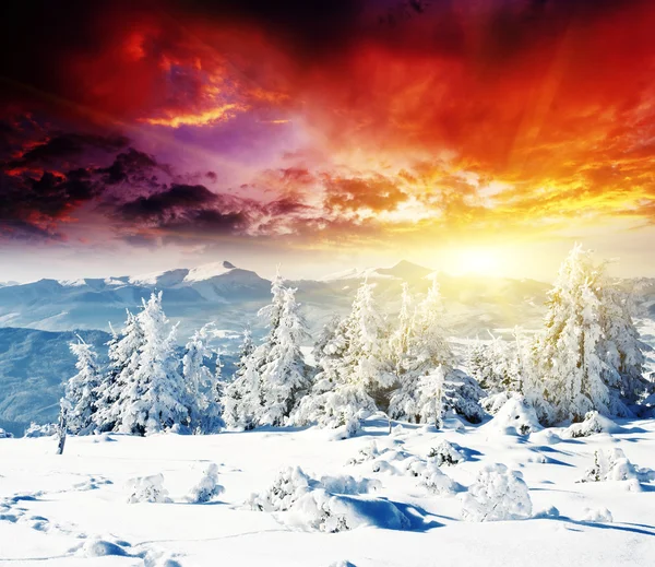 Zachód słońca w górach zimą — Zdjęcie stockowe