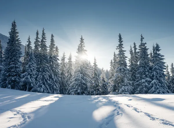 Frosty en zonnige dag in de bergen. — Stockfoto