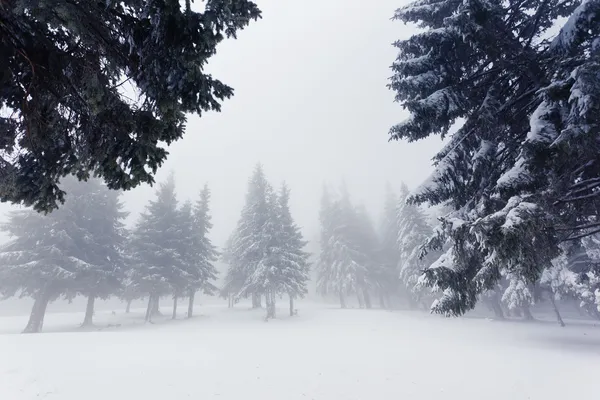 Schöne Winterlandschaft — Stockfoto