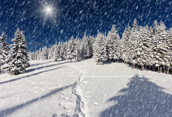 Paysage hivernal avec neige — Photo