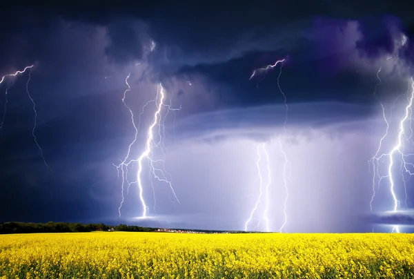 Summer storm — Stockfoto