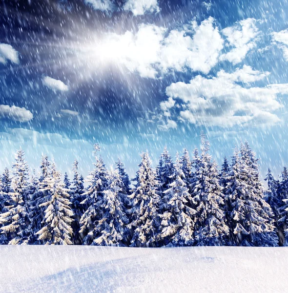 Prachtig winterlandschap Stockfoto