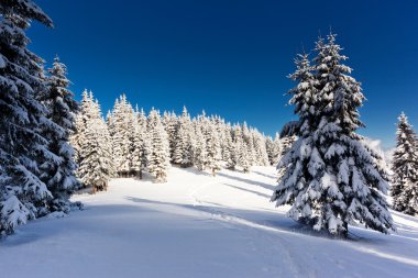 Karlı kış manzarası