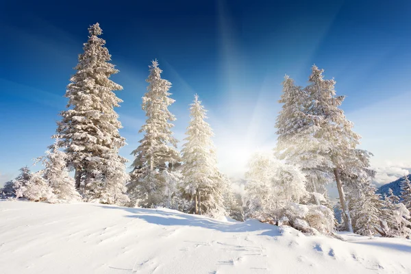 Journée glaciale et ensoleillée dans les montagnes — Photo