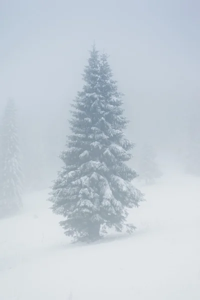 Bellissimo paesaggio invernale — Foto Stock