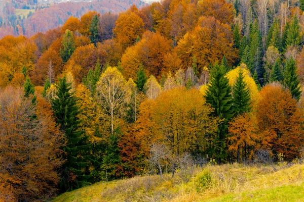 Горный осенний пейзаж — стоковое фото