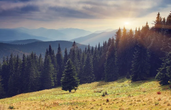 Paesaggio montano — Foto Stock