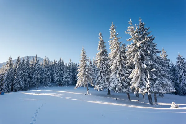 Frostiger und sonniger Tag in den Bergen — Stockfoto