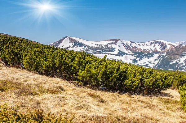 Sonniger Tag in den Bergen — Stockfoto