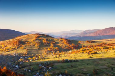 dağ manzarası ile renkli orman