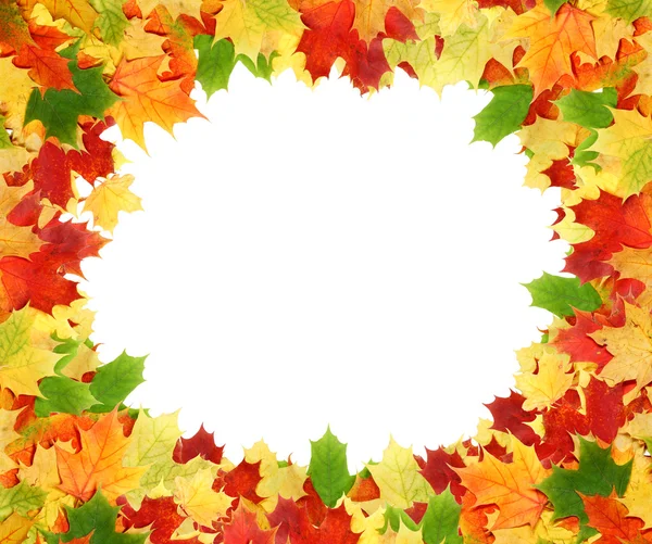 Quadro com folhas de outono — Fotografia de Stock