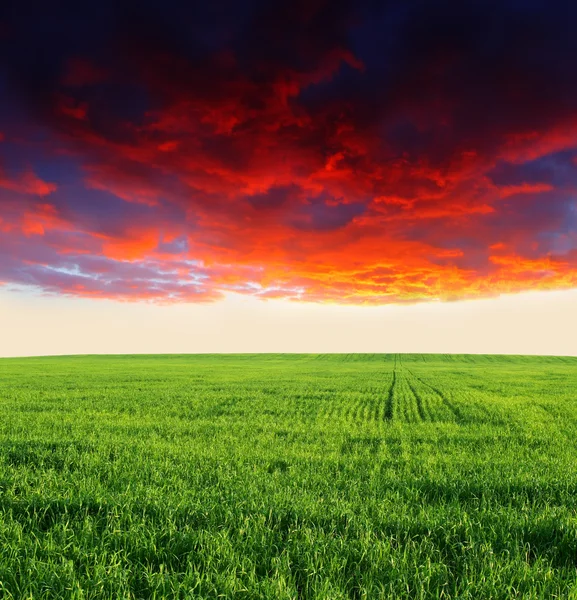 Pôr do sol sobre o campo — Fotografia de Stock