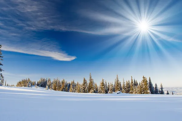 Sonniger Tag in den Bergen — Stockfoto