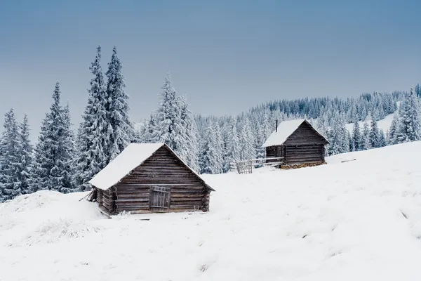 Escarcha y la nieve en las montañas —  Fotos de Stock