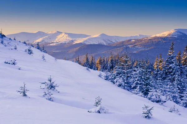 Frosty en zonnige dag — Stockfoto