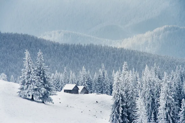 Inverno nas montanhas — Fotografia de Stock