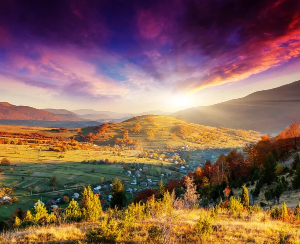 dağ manzarası ile renkli orman