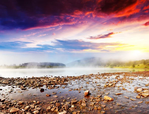 Gewundenen Fluss im Sommer — Stockfoto